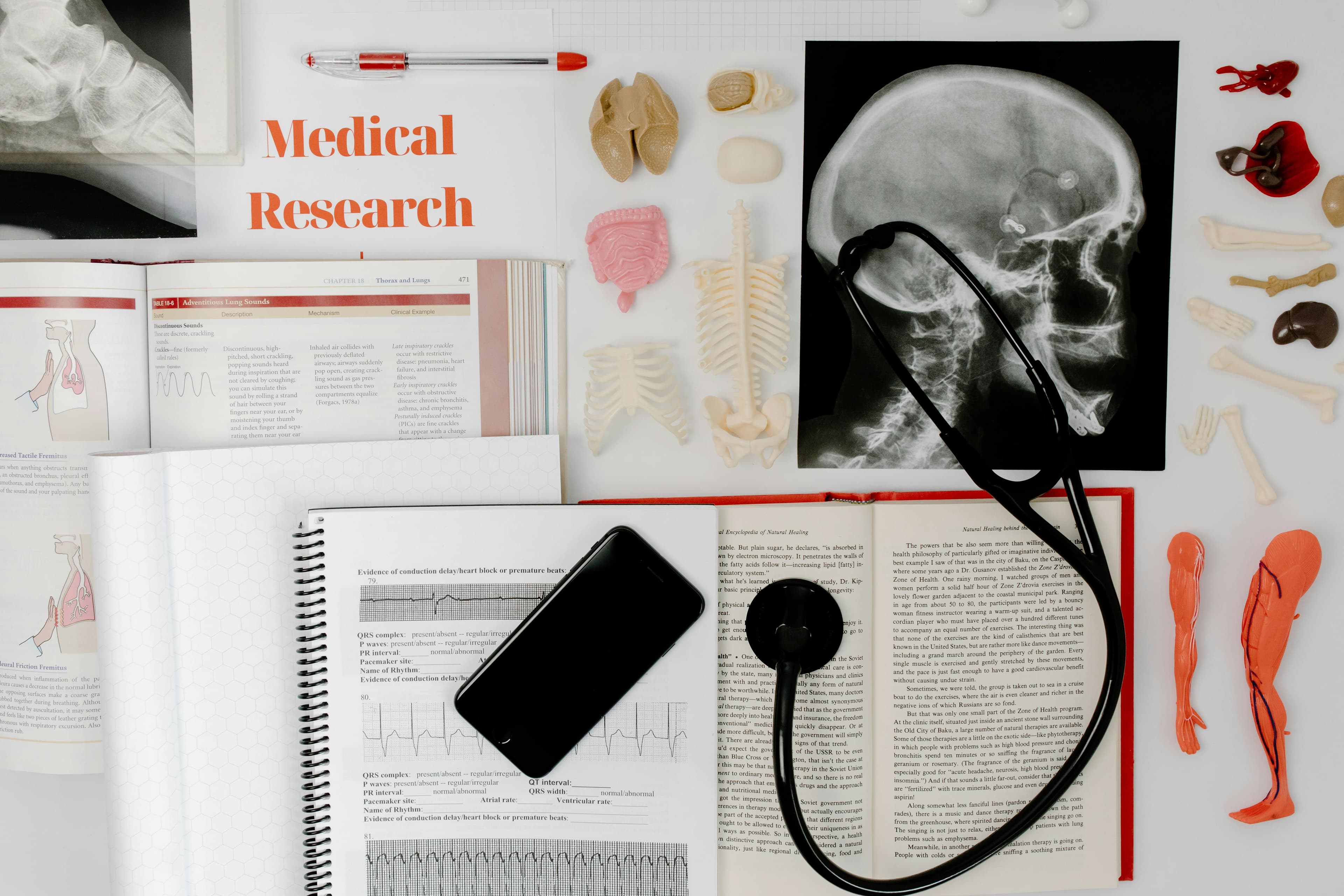 BMLSIA research image
